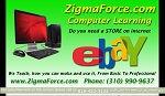 Zigma Force ebay